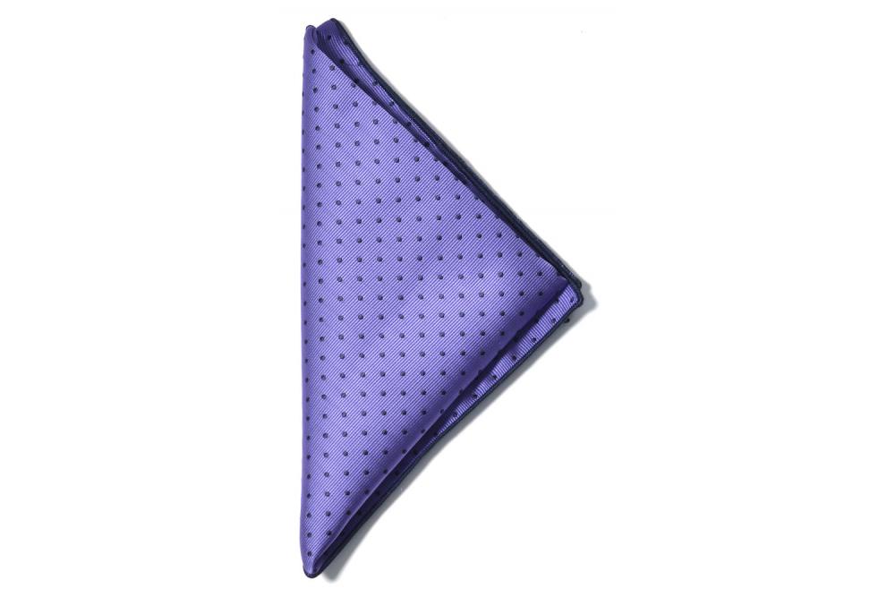 2920000 806 hanky purple navy