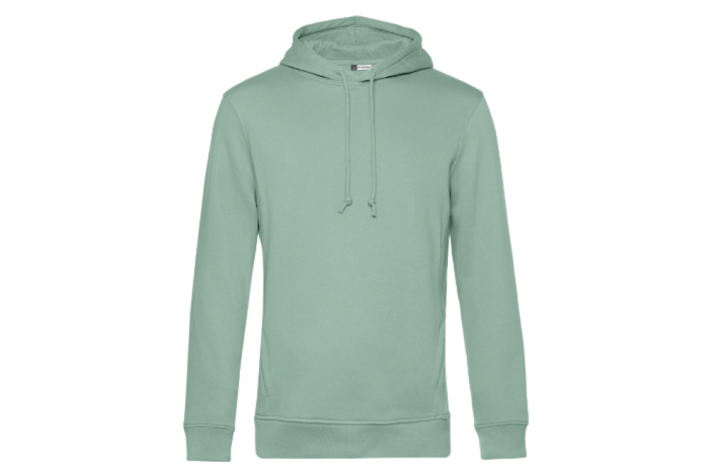 BC insp 18 sage