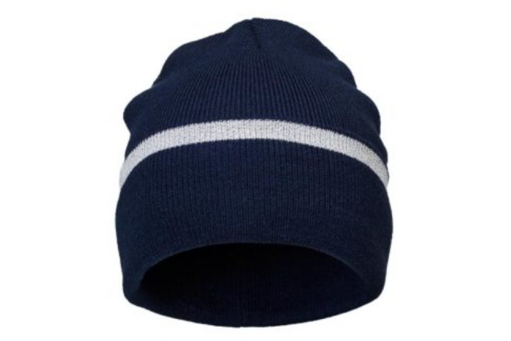 Beastie reflective navy2