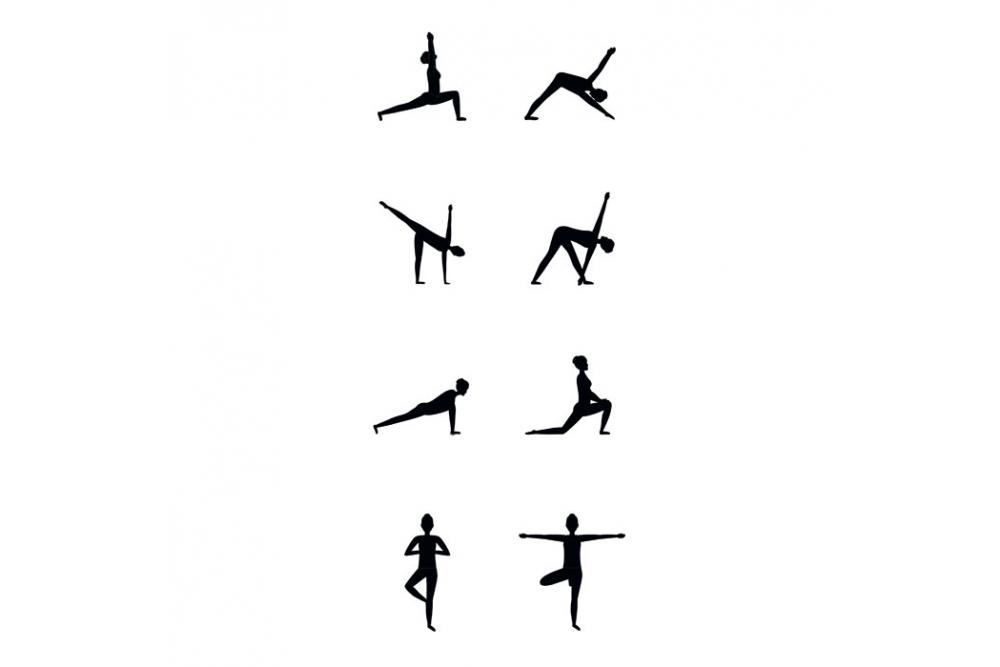 mo9463 03 top yogi