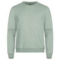 0201030 615 MiamiRoundneck SageGreen