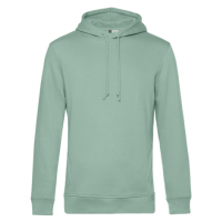 BC insp 18 sage