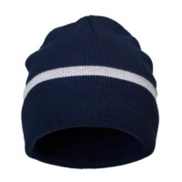 Beastie reflective navy2