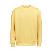 UMCrewneckRegularFit ray