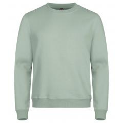 0201030 615 MiamiRoundneck SageGreen